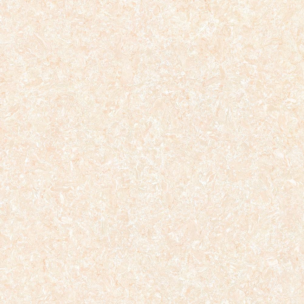 YV81601 郁金香