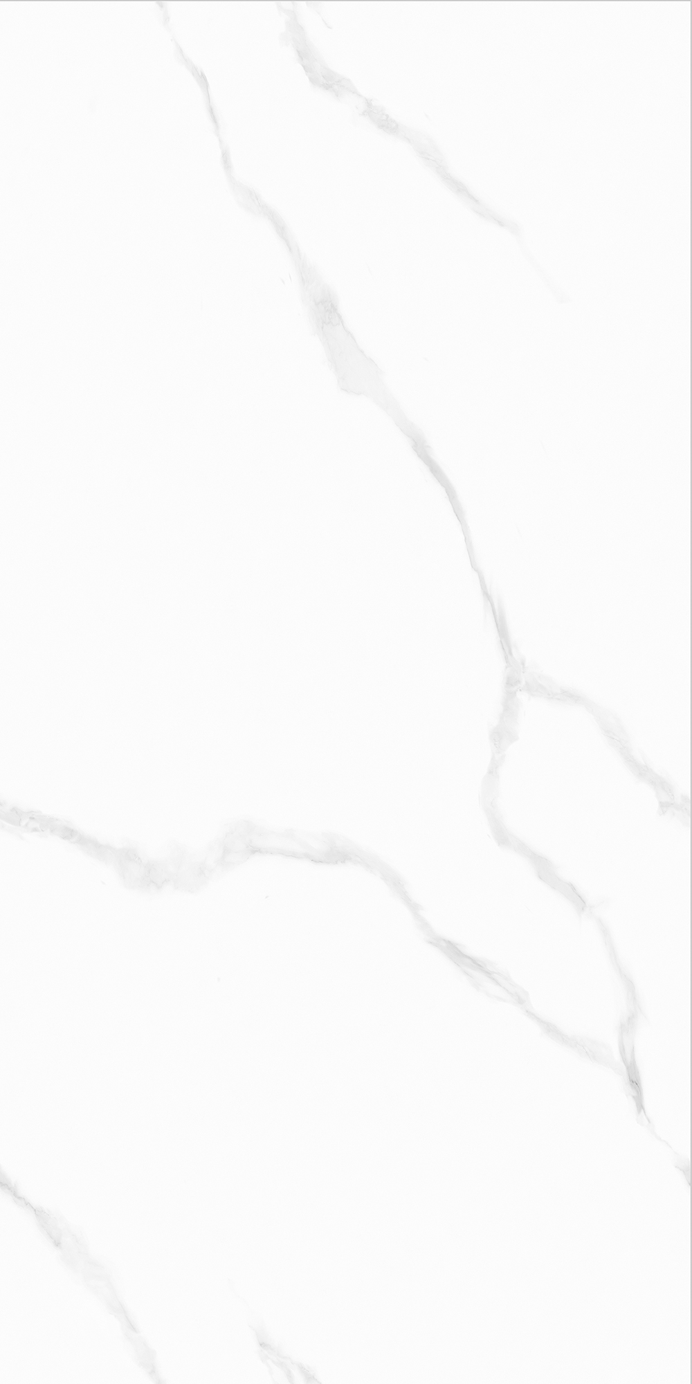 YTL15030梵克白