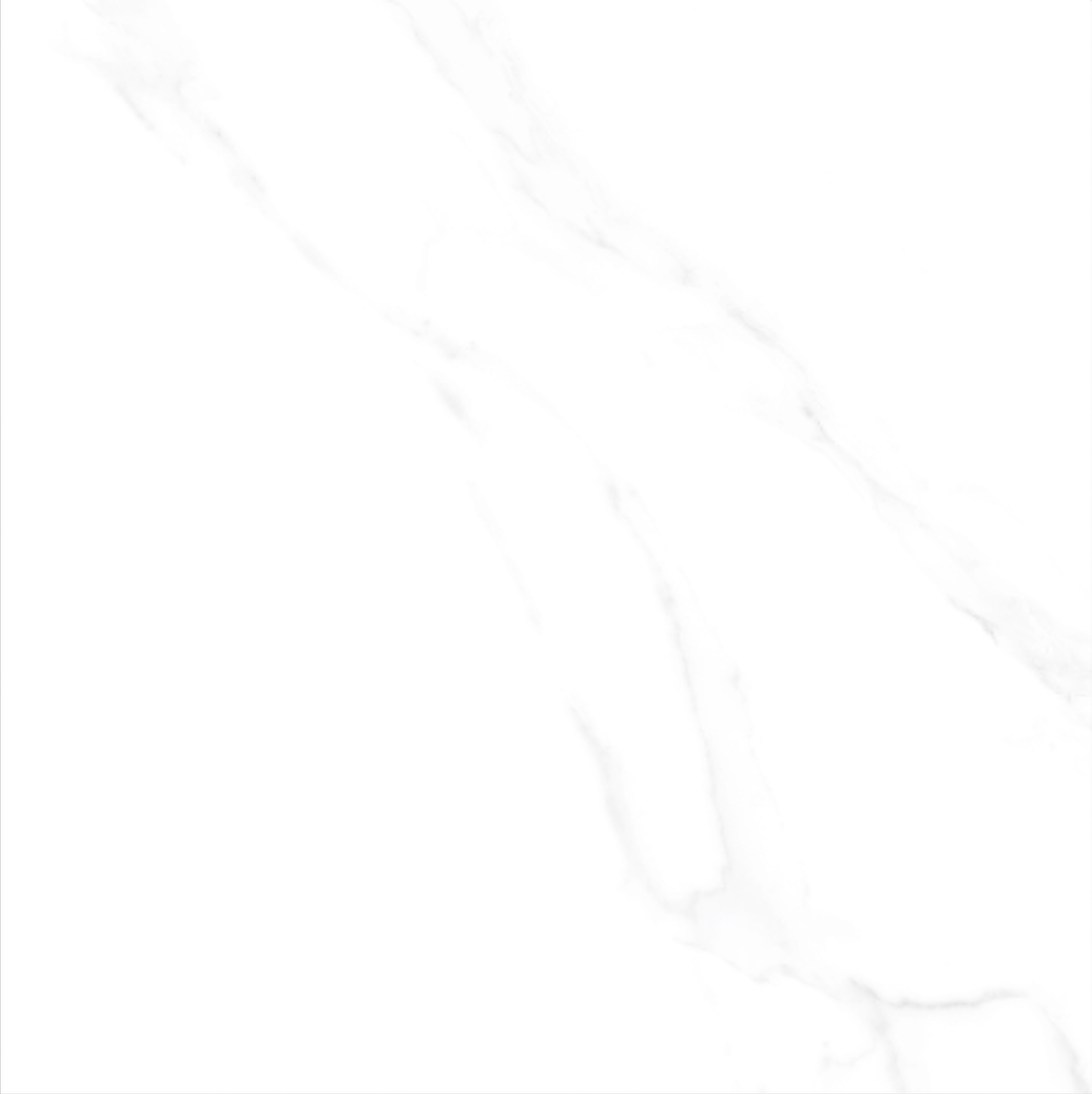 YHTT80139柏雪